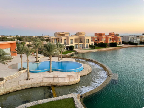 Mangroovy elgouna